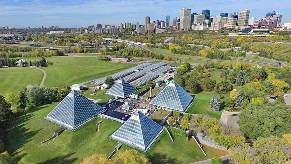 Bright Modern Home - King Bed - Free Parking - Fireplace - Fast Wi-Fi - Free Netflix Edmonton Exteriér fotografie